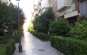 The street and the main door